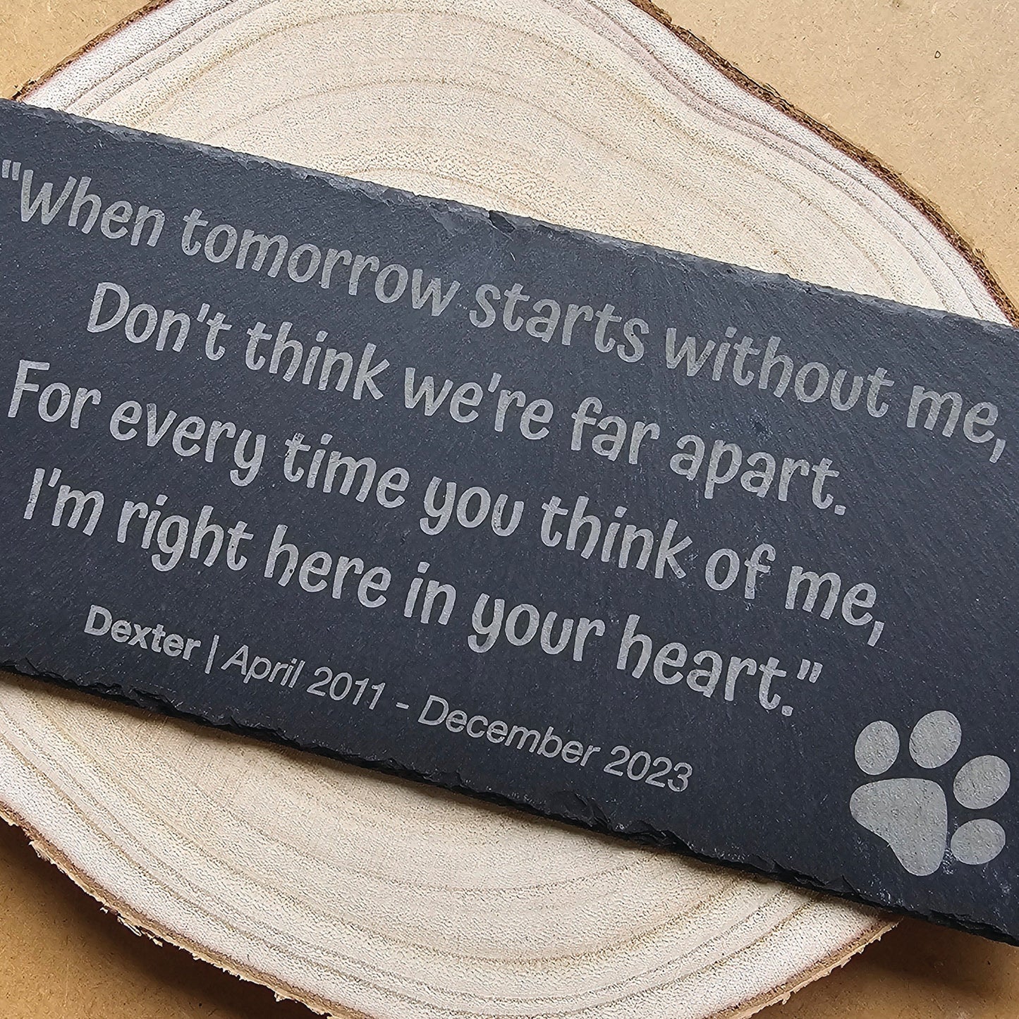 For the Love of Pets (and Their Humans)